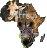 Το avatar του μέλους africa