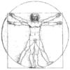 Το avatar του μέλους Vitruvian78